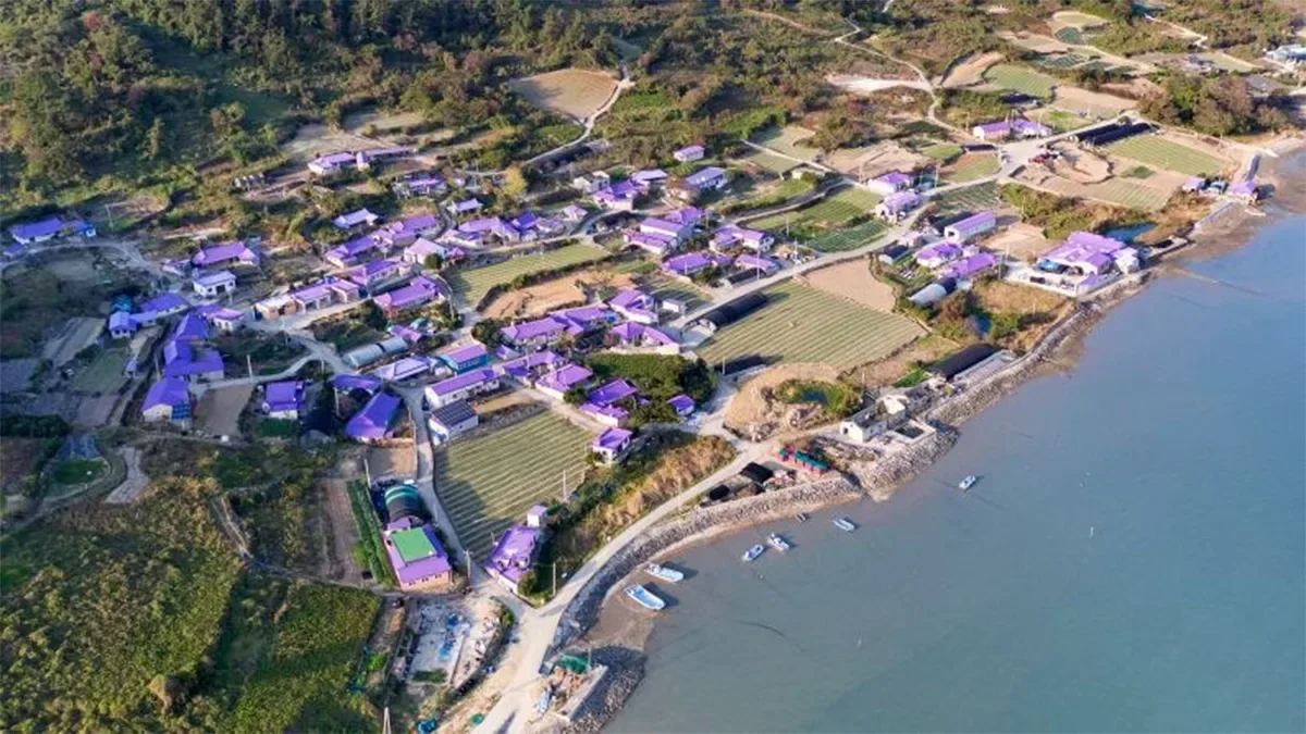 Purple color changed the ısland's destiny: It became a tourist hotspot