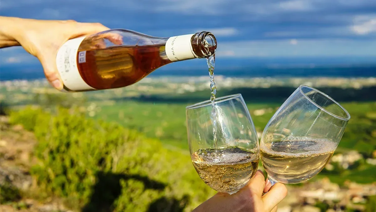 TUI Musement ranks the best countries for wine lovers