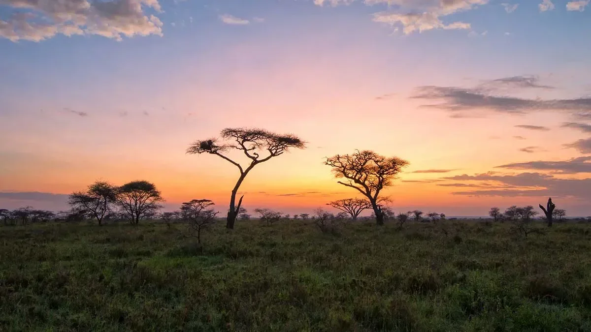 Destination Kenya - Also referred to as Magical Kenya