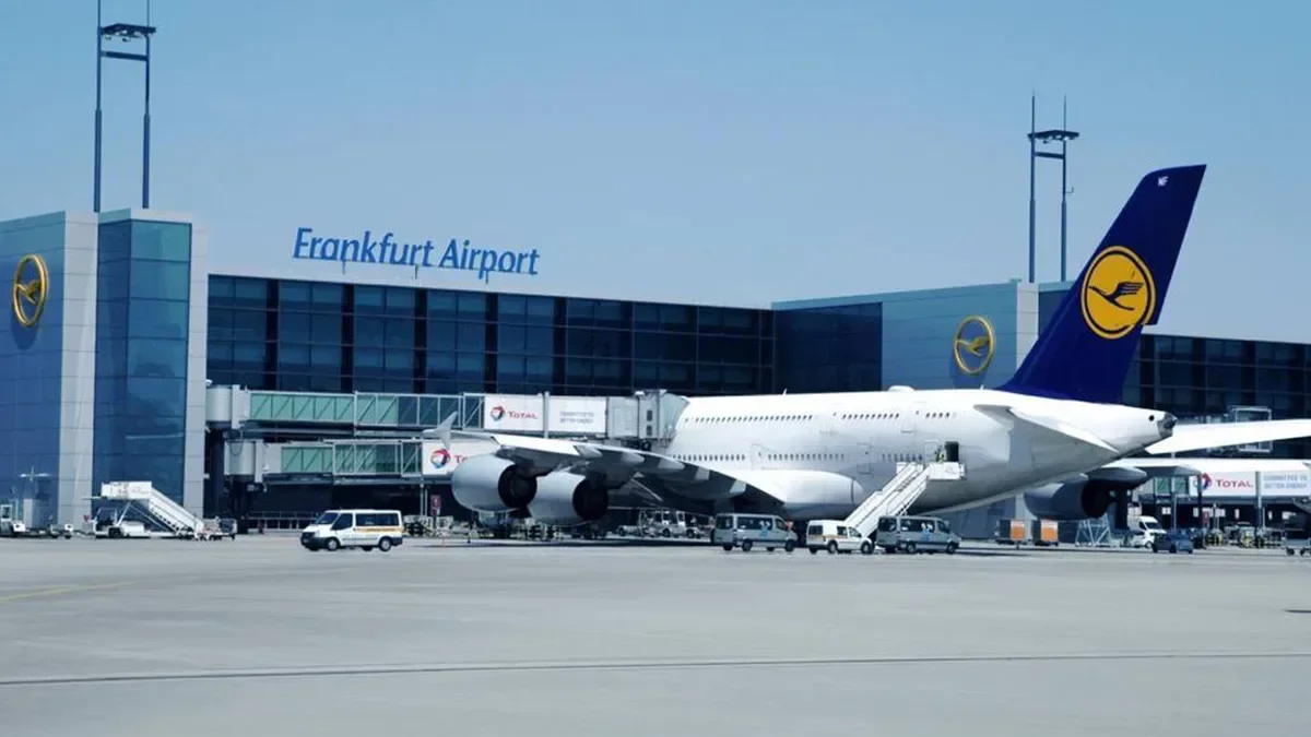 Part of Frankfurt Airport's power supply cut overnight by a dormouse