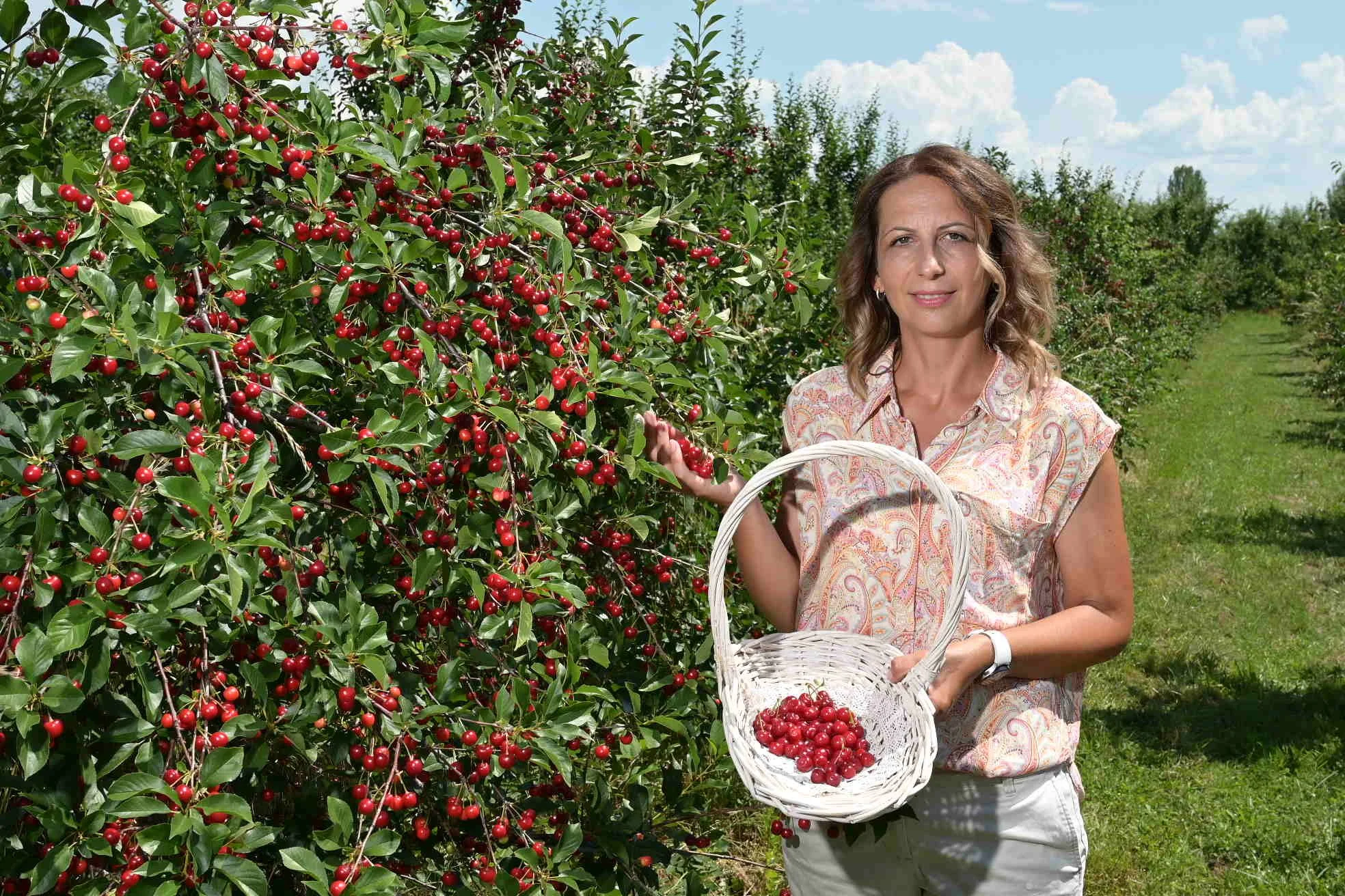 TUI Care Foundation launches TUI Field to Fork project in the Western Balkans