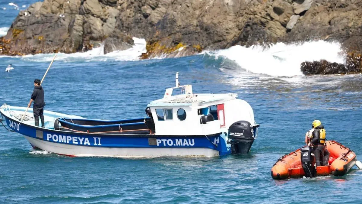Tourist boat sinks in Chile: 7 dead
