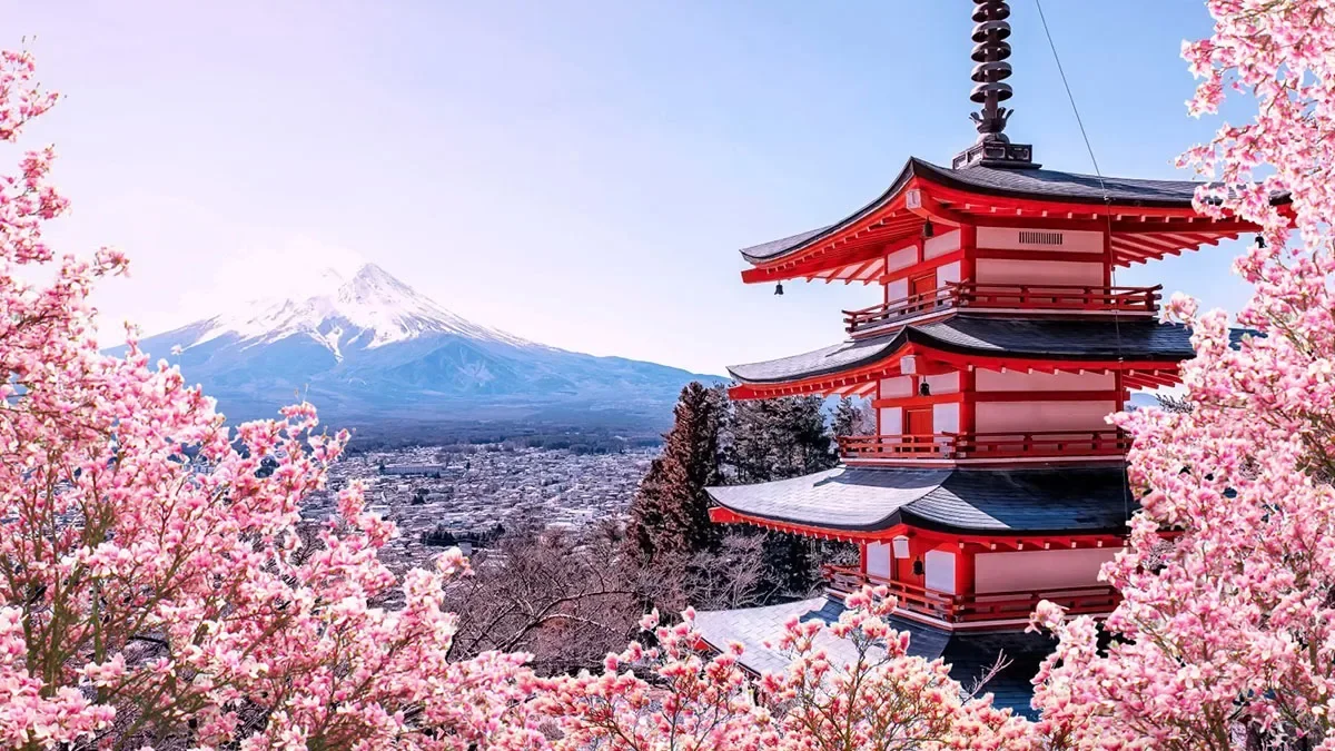 Cherry blossoms fuel Chinese village’s tourism and vitalisation