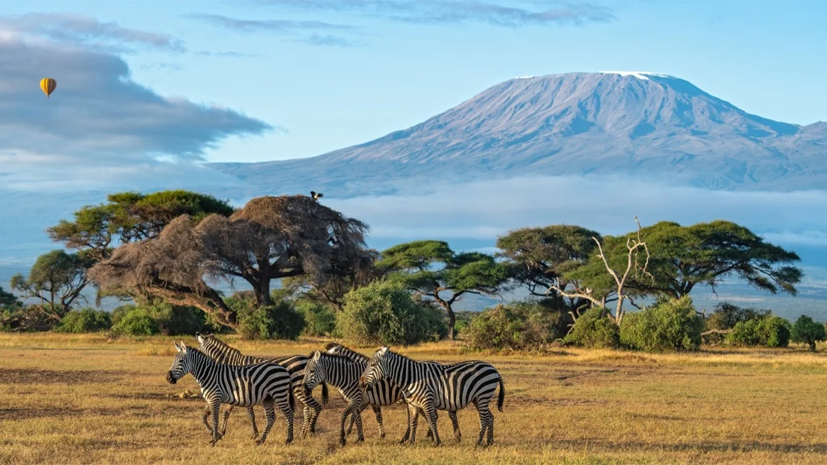 Kenya boosts Africa's tourism growth, emerging as a leading sustainable tourism powerhouse