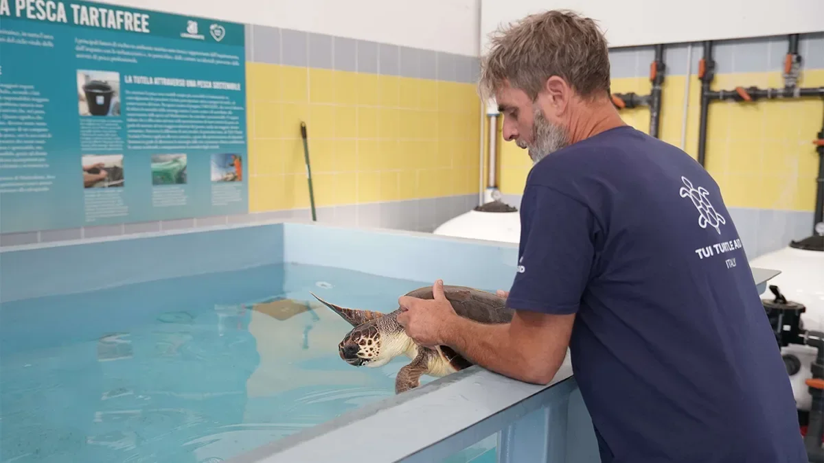 TUI Care Foundation launches Turtle Aid project to promote sustainable tourism in Apulia