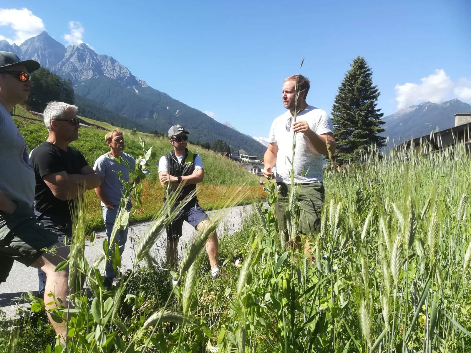 TUI Care Foundation launches new programme connecting regenerative agriculture and tourism in Austria