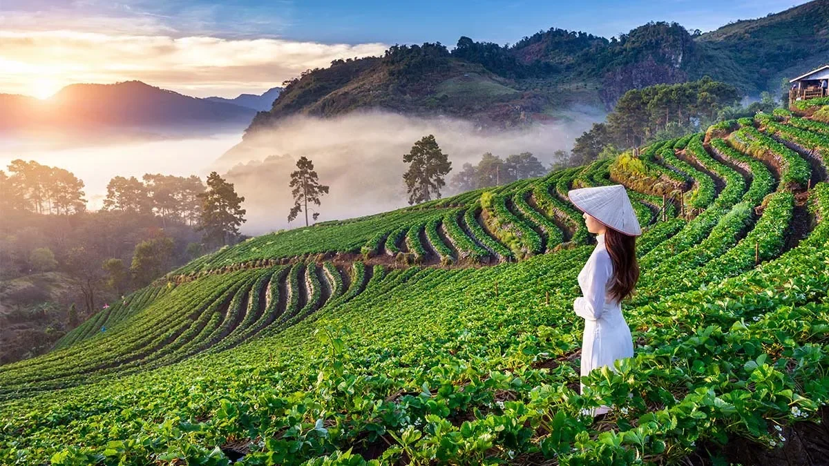 Vietnam smashes international tourist records in 2024