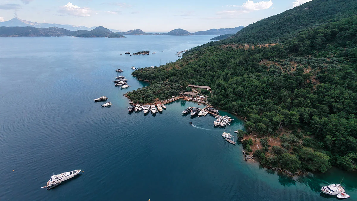 MIORI brings a brand-new coastal lifestyle to the world of tourism