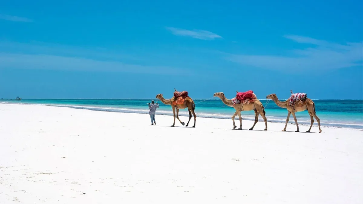 Kenya shines at World Travel Awards