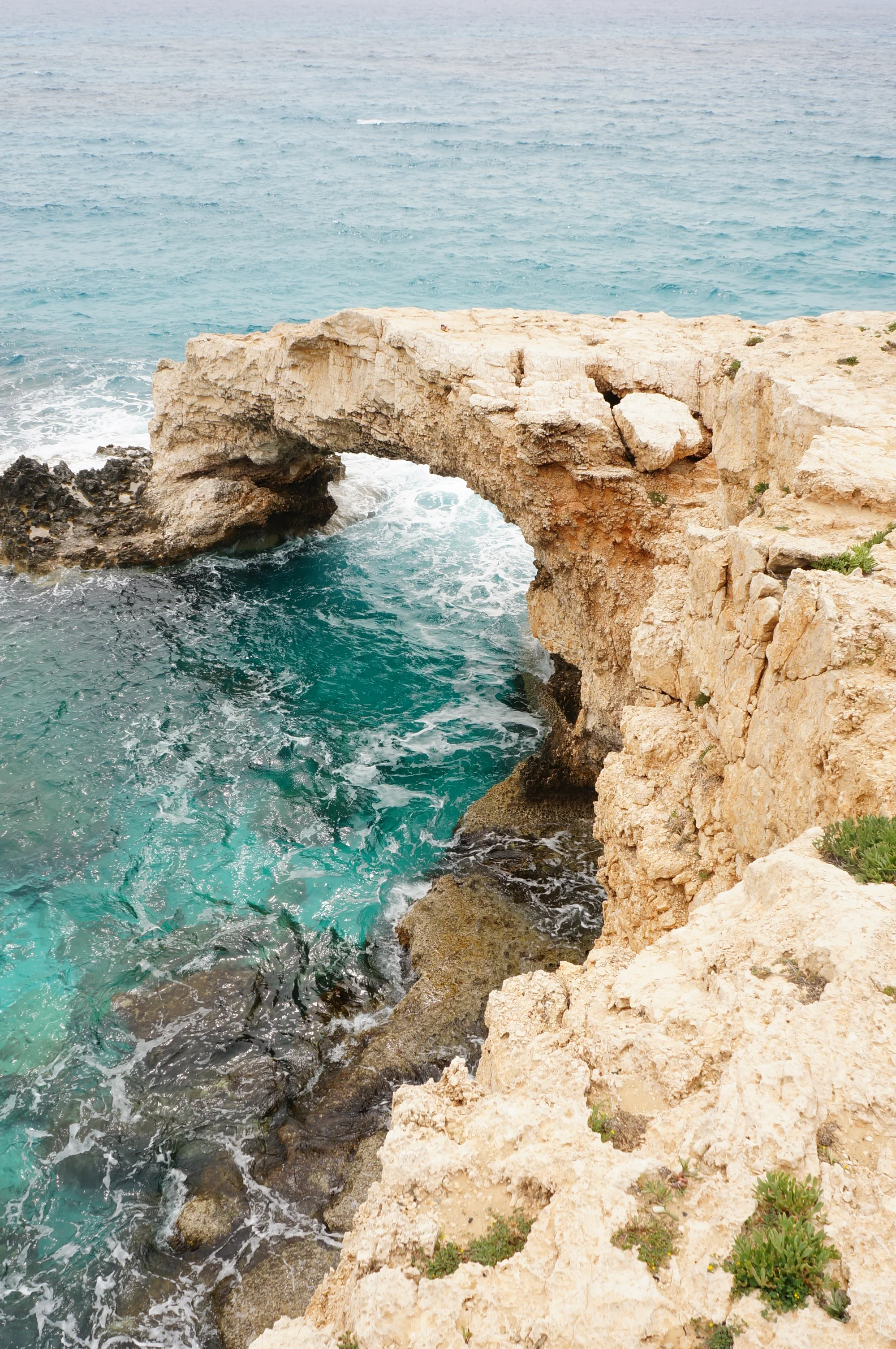 Increase in Mediterranean searches following release of The Odyssey