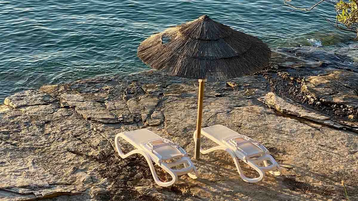 Global tourism is recovering: Revenues could reach $1 trillion by 2024