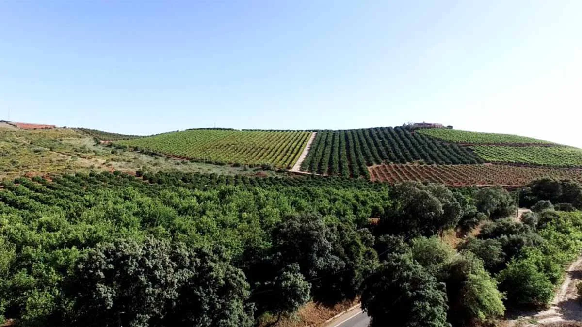 Portuguese farmers fight drought in region brimming with tourists