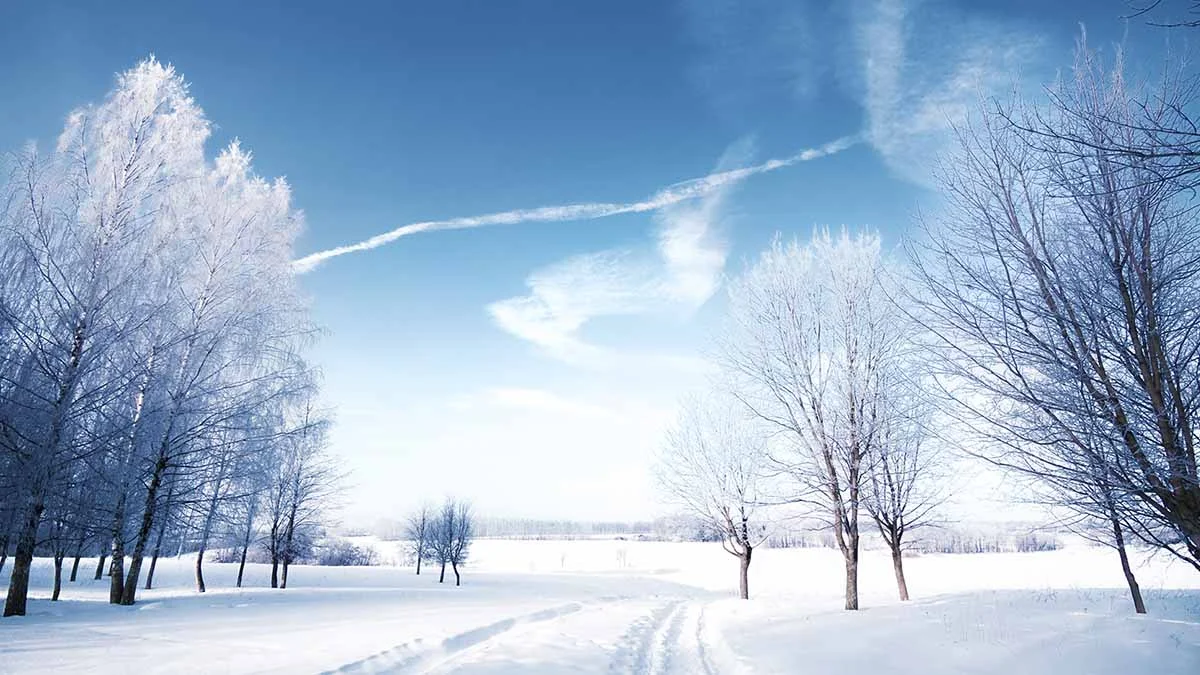 Heavy snowfall in the UK: Flights suspended